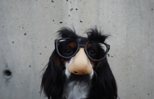 Are you feeling like a fraud? Signs of imposter syndrome and how to overcome it 