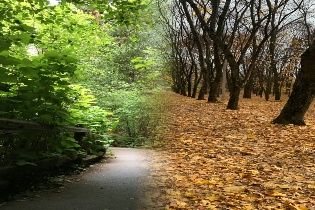The 10 U.S. cities where seasonal depression hits hardest (and when it peaks this year)